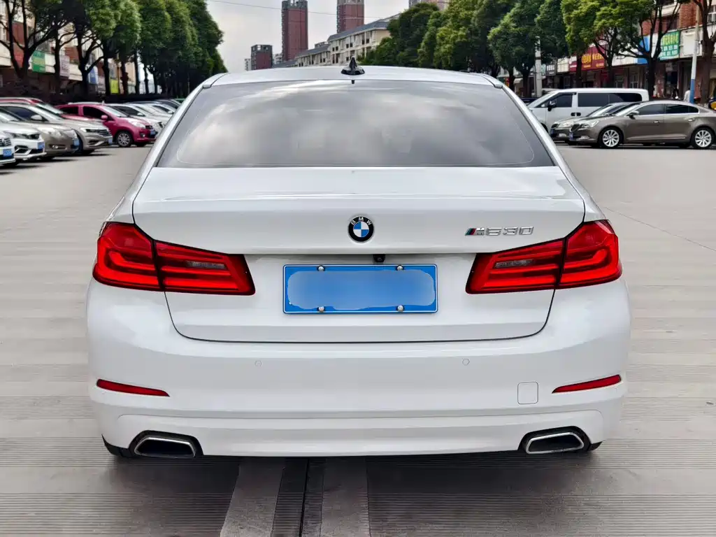 BMW 5 Series 2017 — фото 5