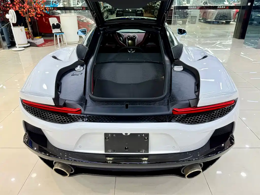 McLaren GT 2022 — фото 12