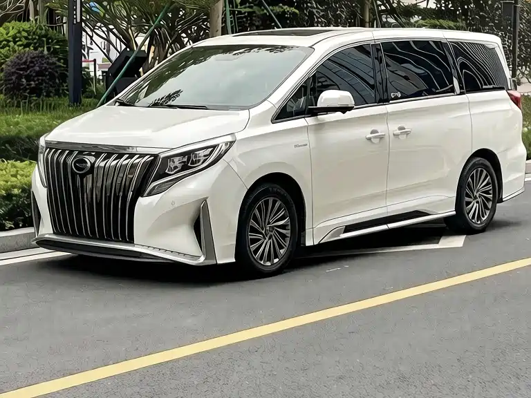GAC Motor Trumpchi M8 2021 — фото 9