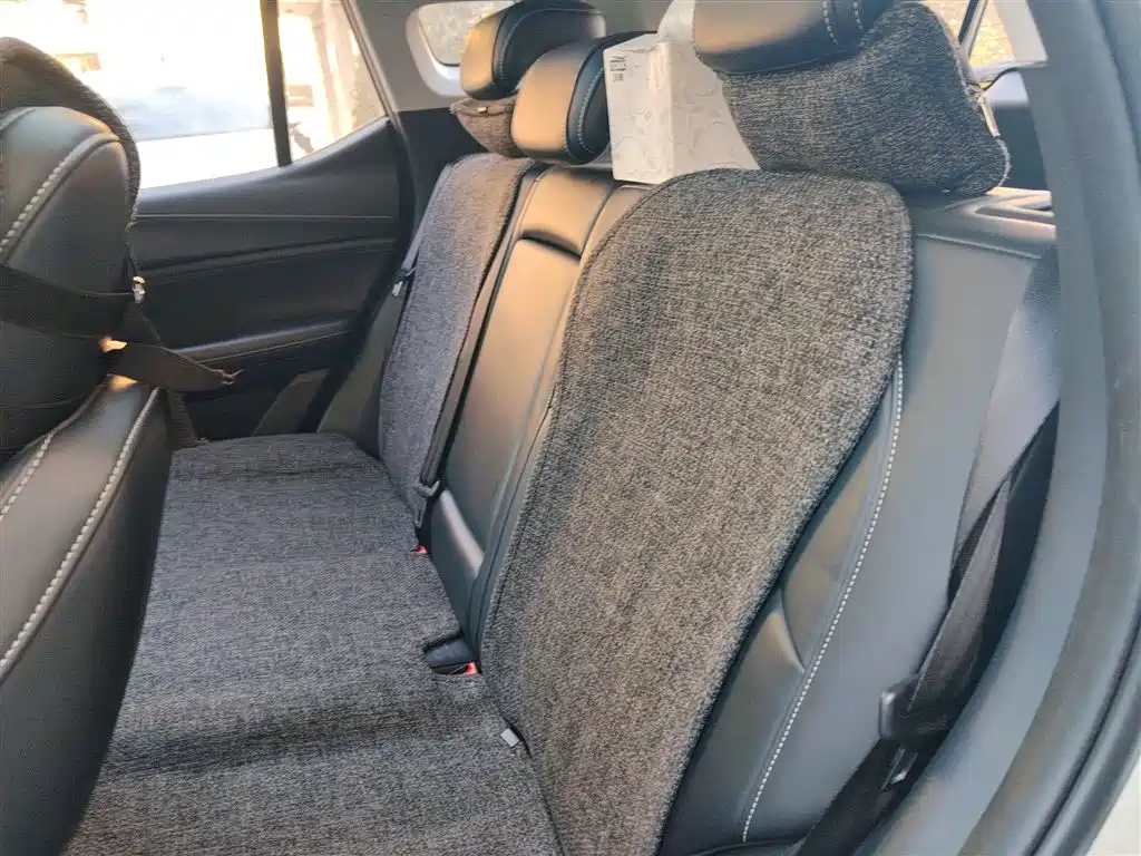 GAC Motor Trumpchi GS4 2022 — фото 15