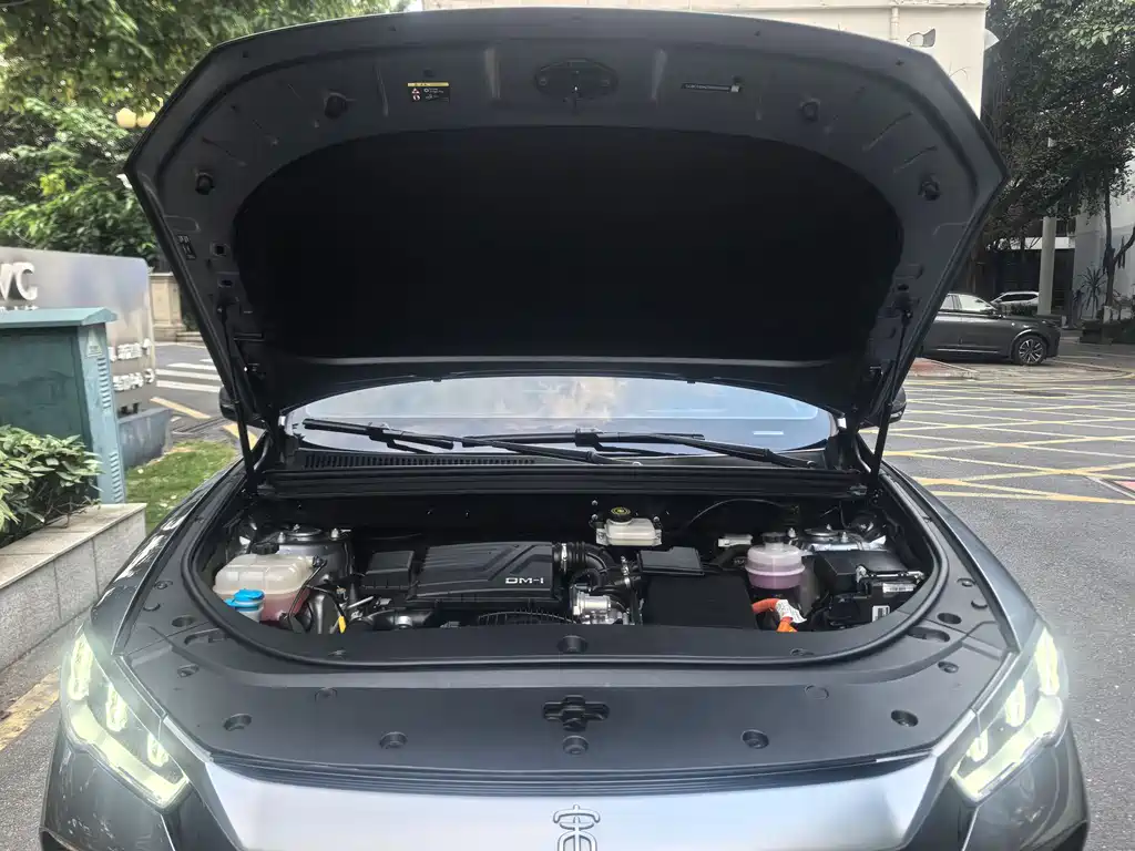 BYD Pro New Energy 2024 — фото 22