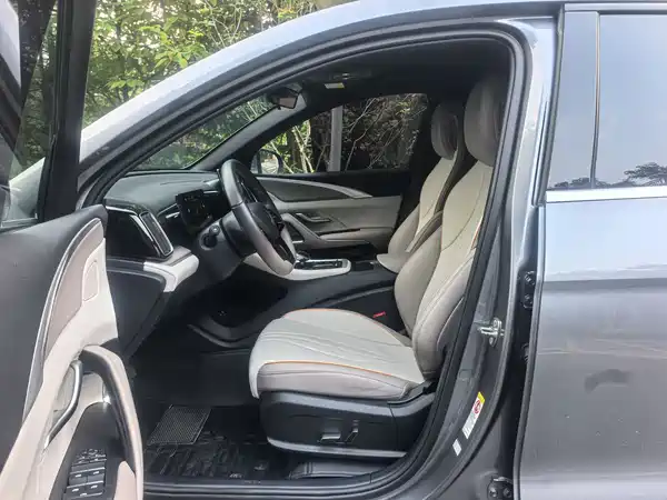 BYD Song Pro New Energy 2024