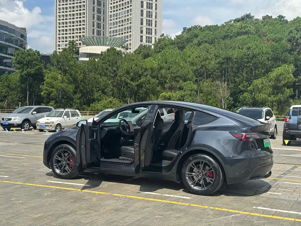 Tesla Model Y 2024 — фото 15
