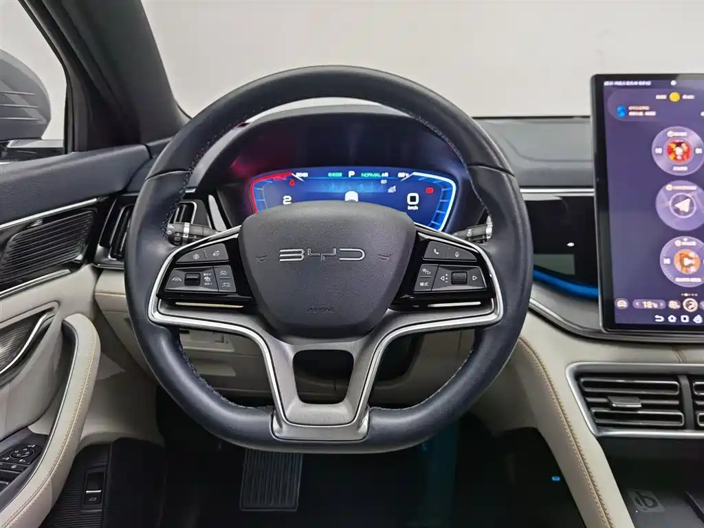 BYD PLUS New Energy 2024 — фото 11