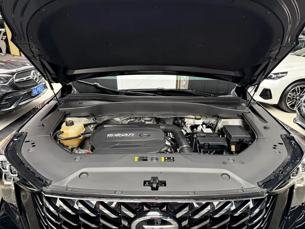 GAC Trumpchi GS8 2022 — фото 28