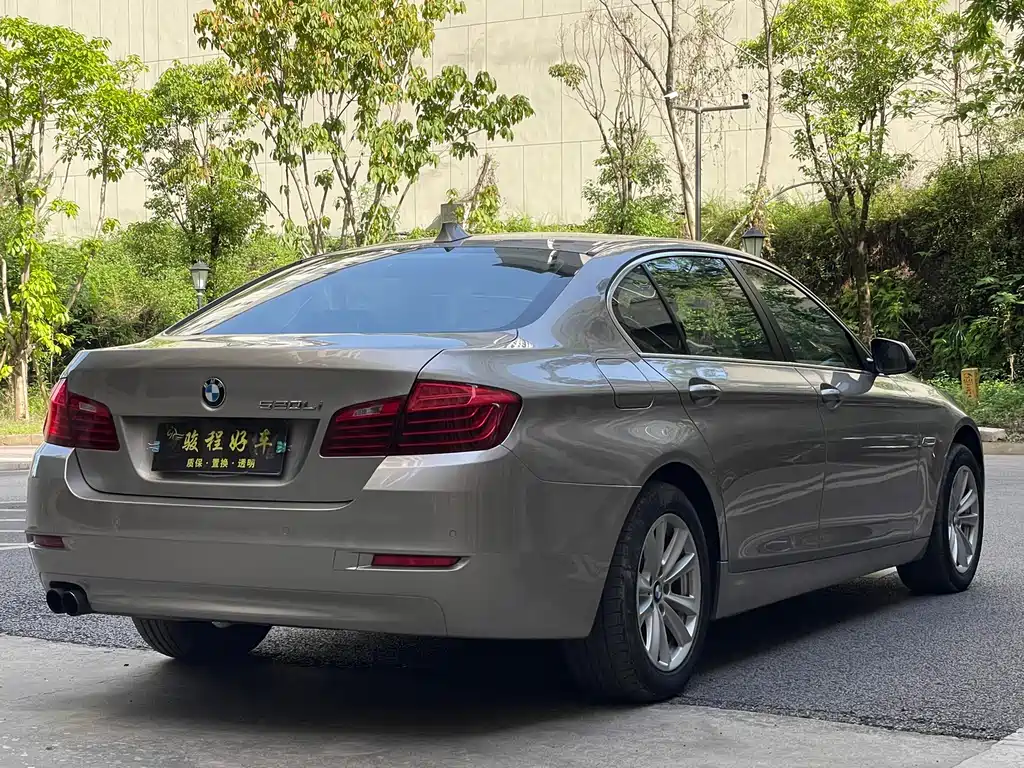BMW 5 Series 2014 — фото 6
