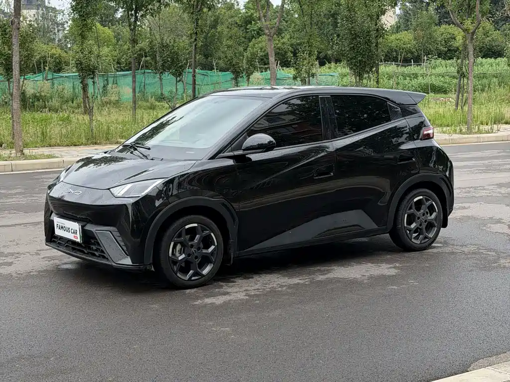 BYD Seagull 2024