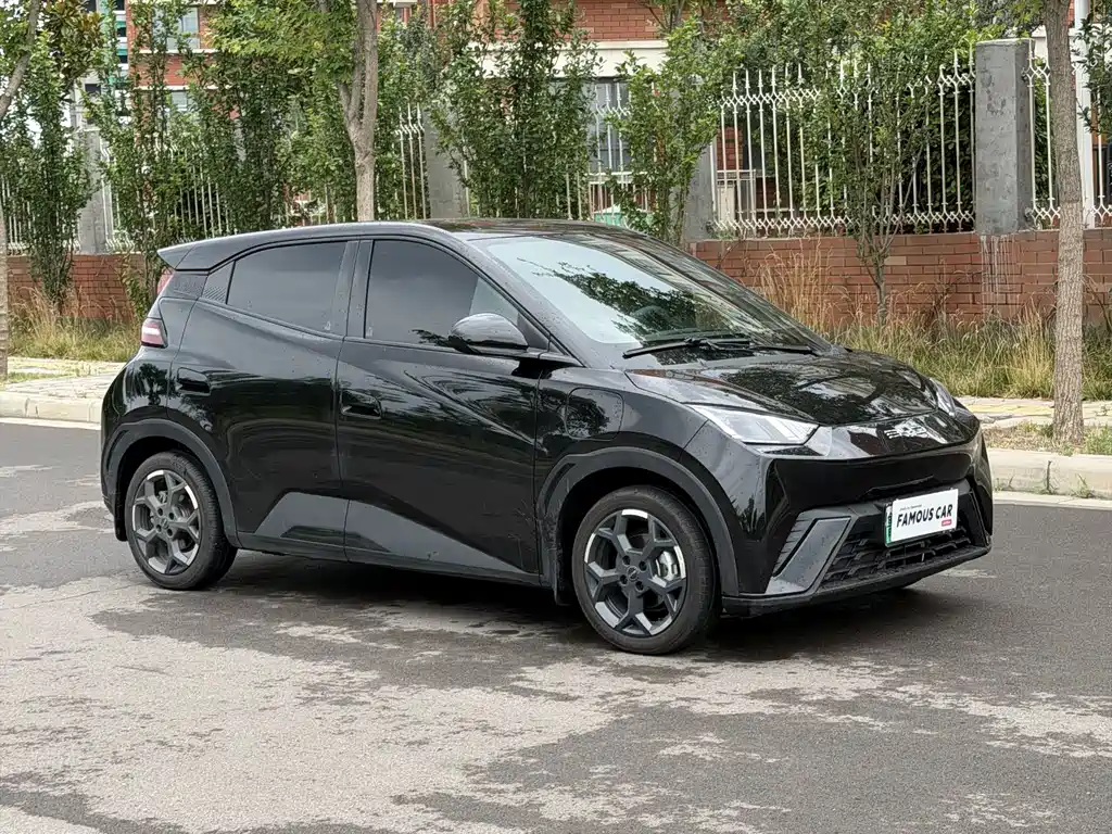 BYD Seagull 2024