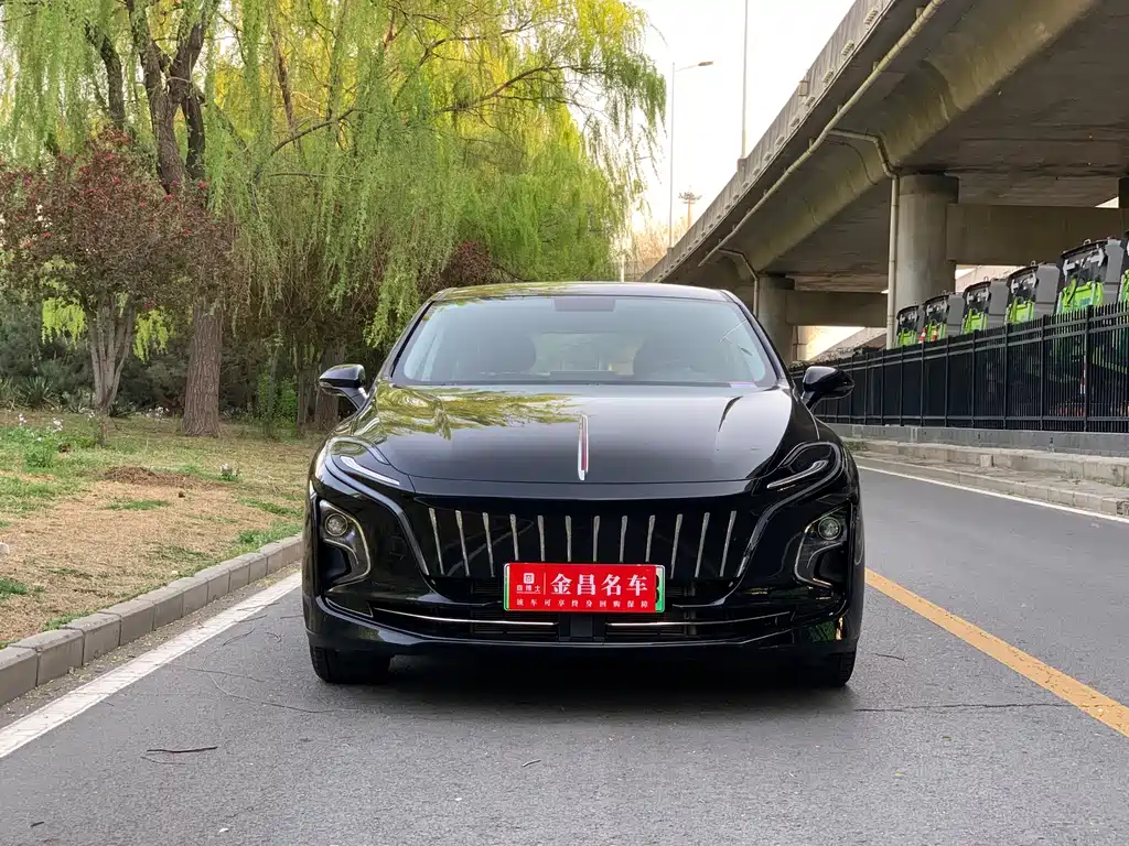 Hongqi E-QM5 2022 — фото 2