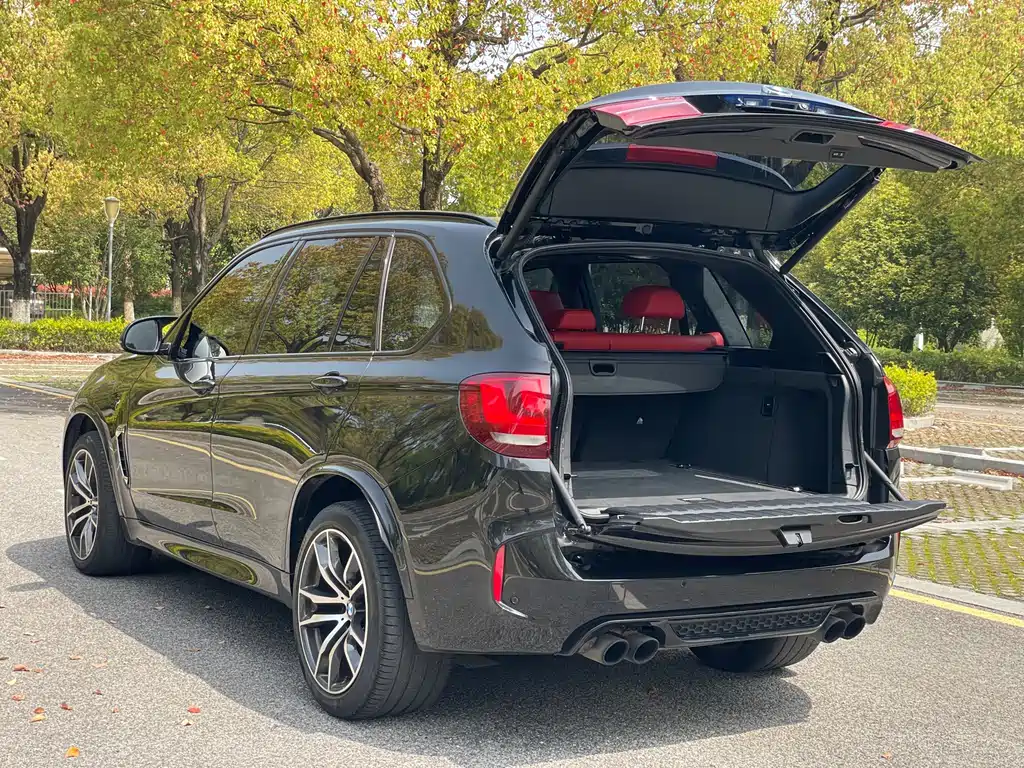 BMW X5 M 2016 — фото 12