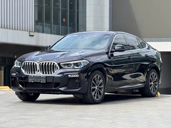 BMW X6 2021