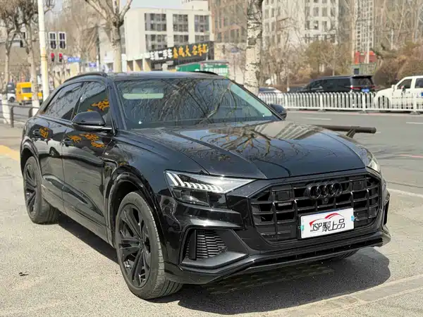 Audi Q8 2019