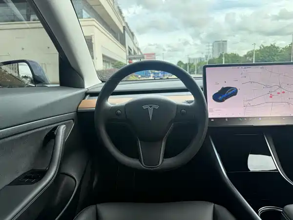 Tesla Model 3 2020