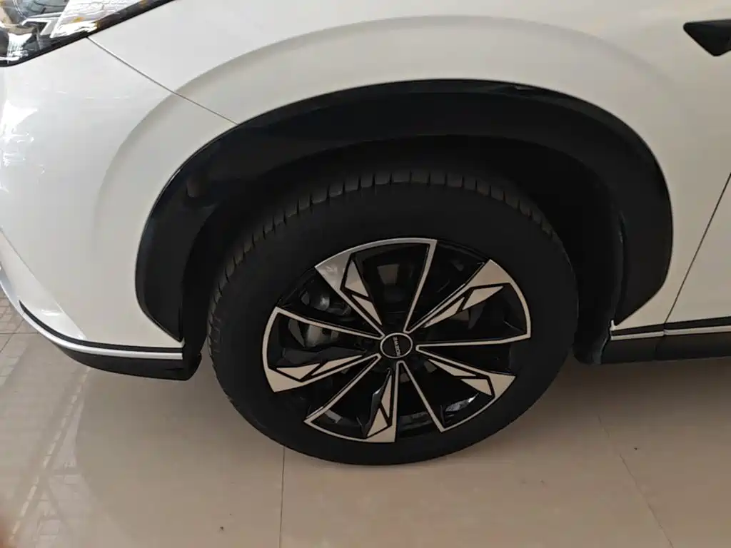 Roewe RX5 New Energy 2025 — фото 23