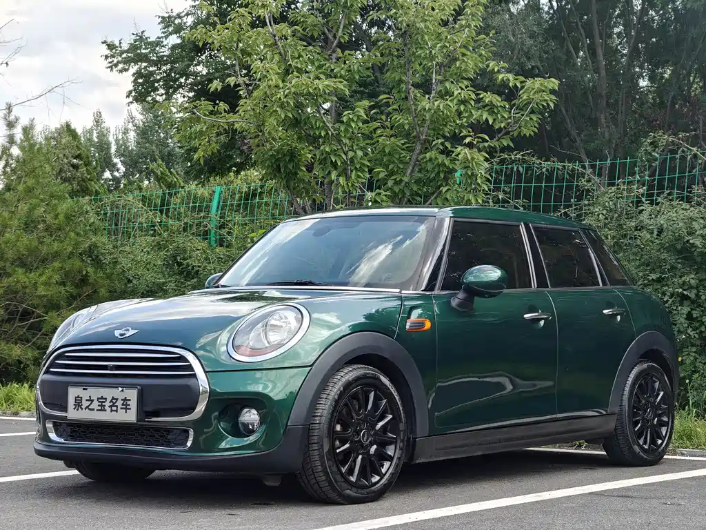 MINI MINI 2018