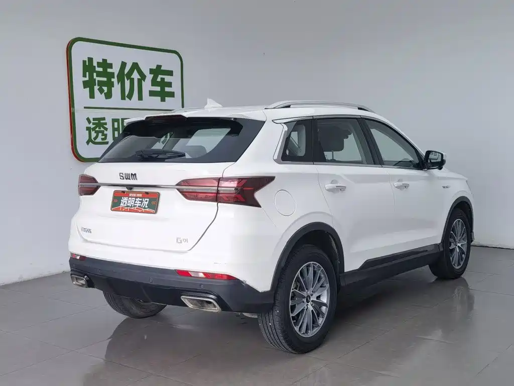 SWM G01 2019