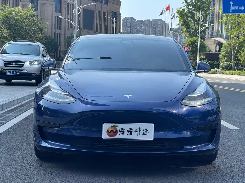 Tesla Model 3 2020 — фото 2
