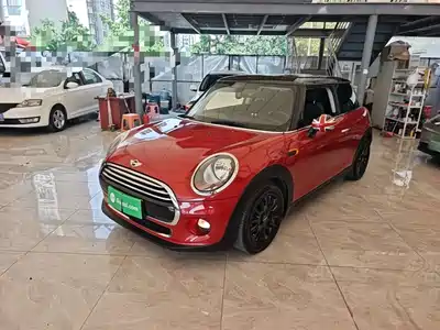 MINI MINI 2017
