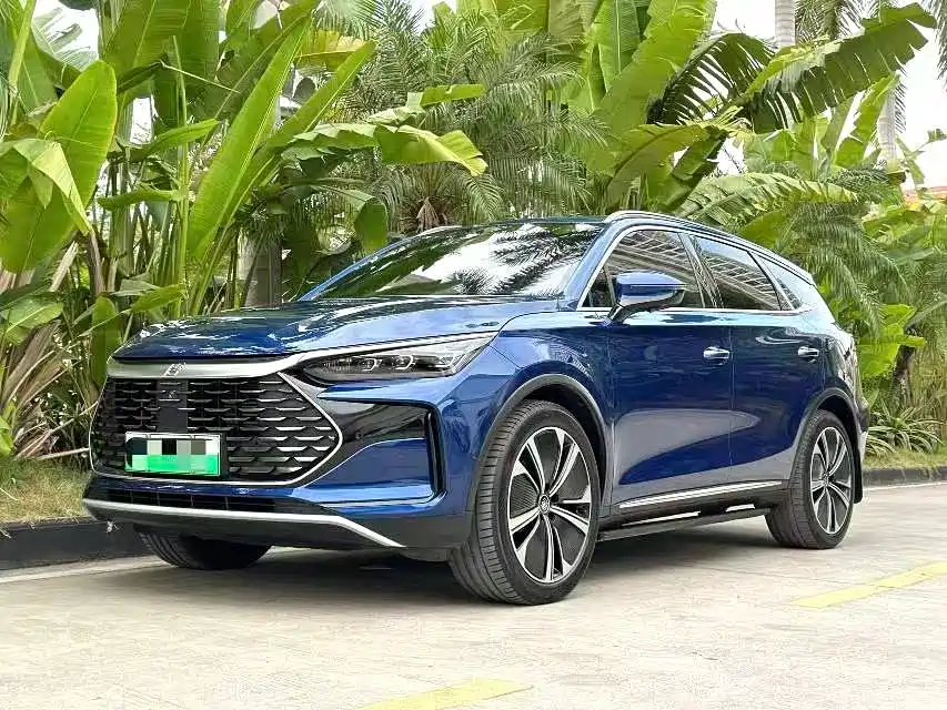 BYD Tang New Energy 2023 — фото 1
