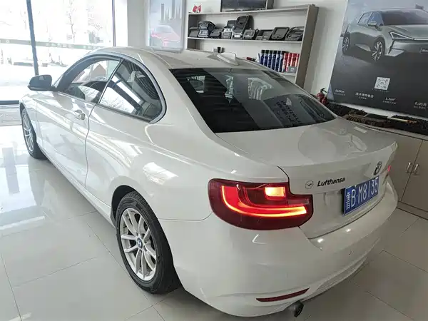 BMW 2 Series 2015