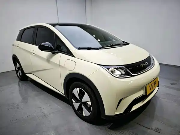 BYD Dolphin 2024