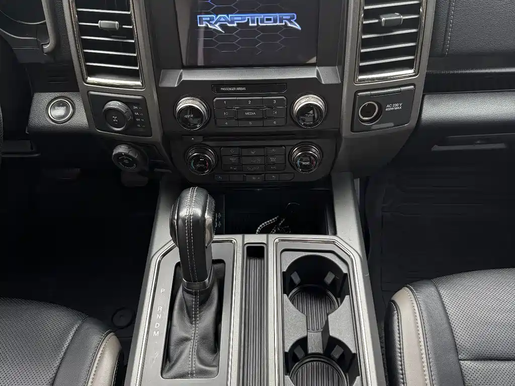Ford F-150 Raptor 2019 — фото 10