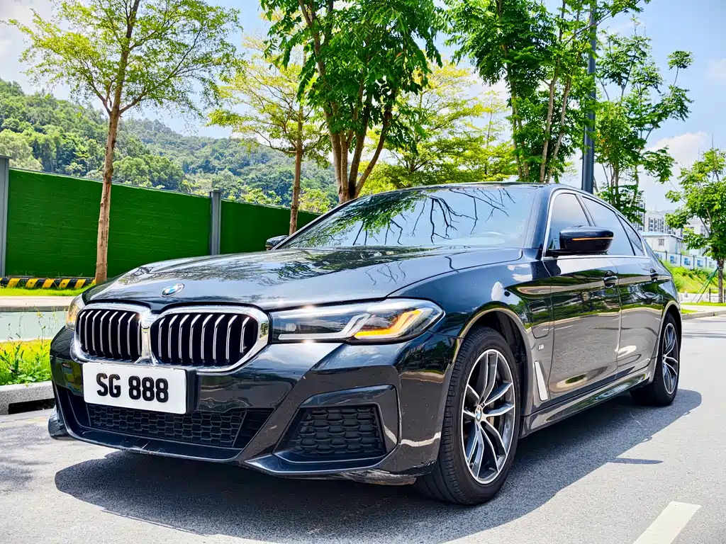 BMW 5 Series New Energy 2021