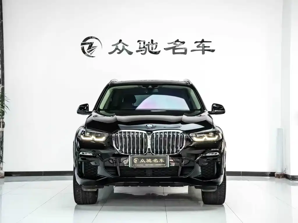 BMW X5 New Energy 2020