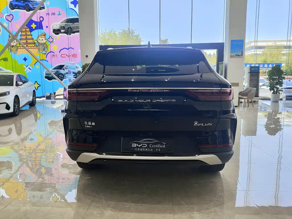 BYD Song PLUS New Energy 2021 — фото 6