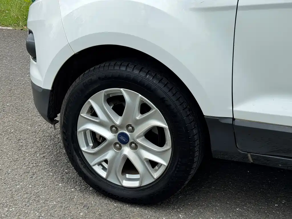 Ford Ecosport 2013 — фото 13