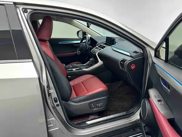 Lexus NX 2020
