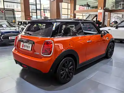 MINI MINI 2018