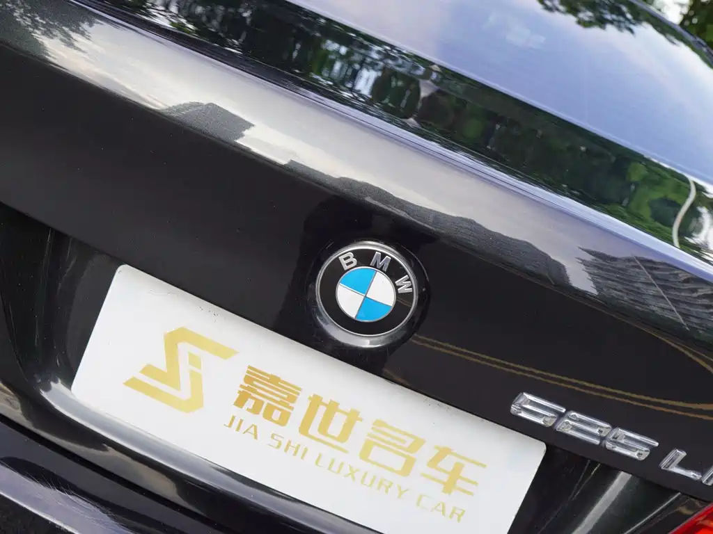 BMW 5 Series 2016 — фото 29