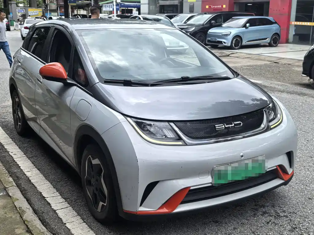 BYD Dolphin 2022