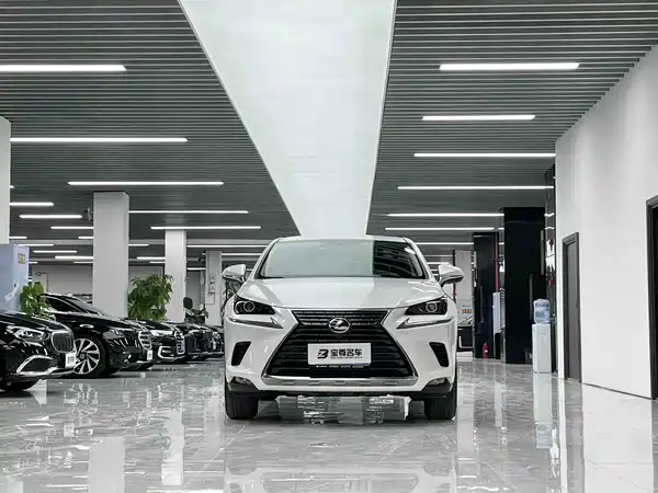 Lexus NX 2020