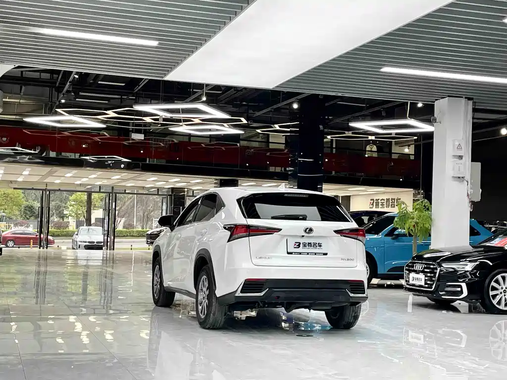 Lexus NX 2020 — фото 10