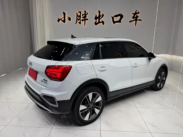 Audi Q2L 2022