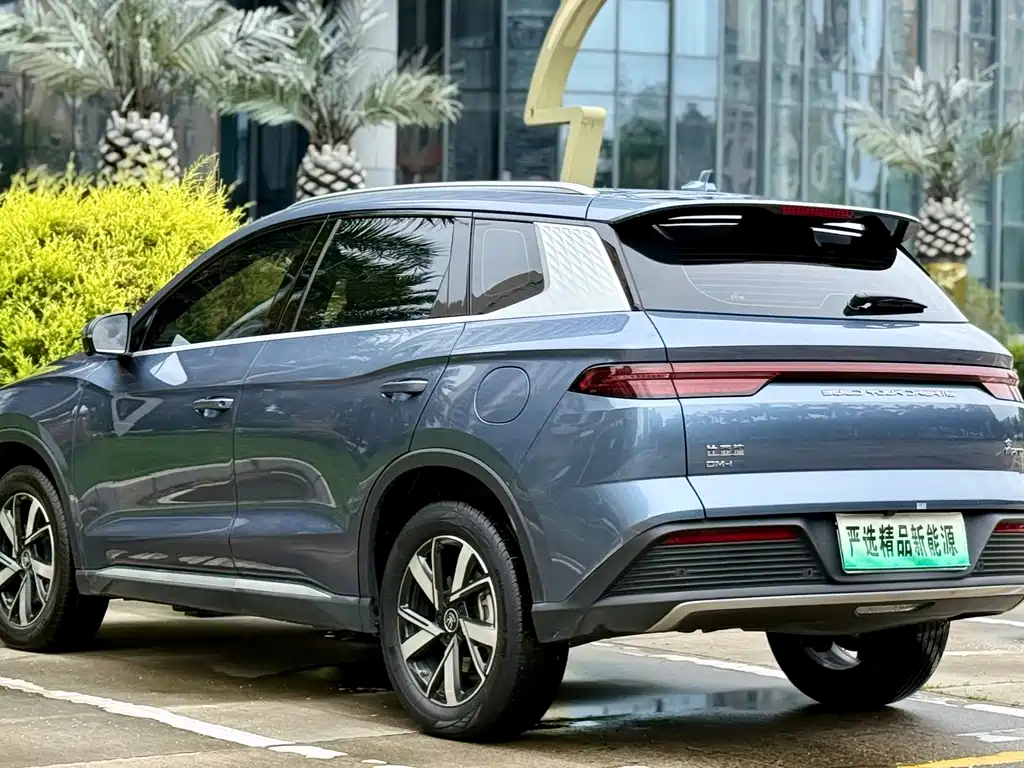 BYD Song Pro New Energy 2024 — фото 23