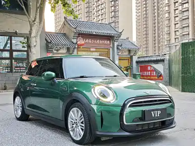 MINI MINI 2021