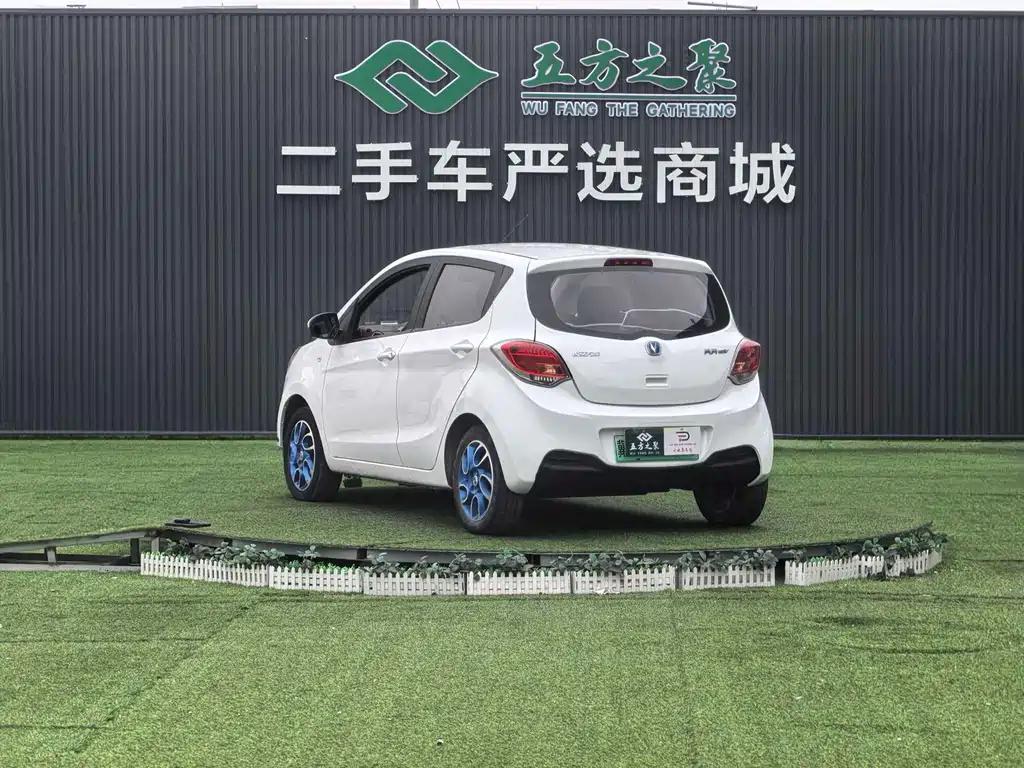 Changan EV 2019 — фото 17