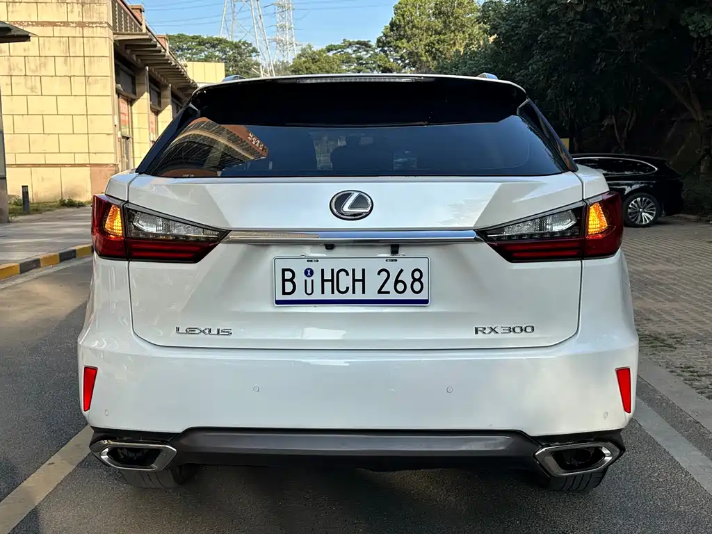 Lexus RX 2017 — фото 4