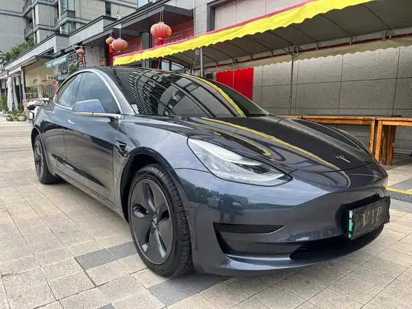 Tesla Model 3 2019