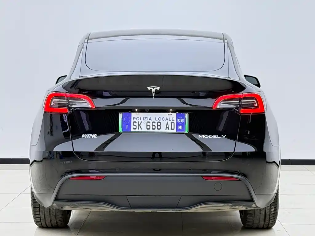 Tesla Model Y 2021 — фото 20