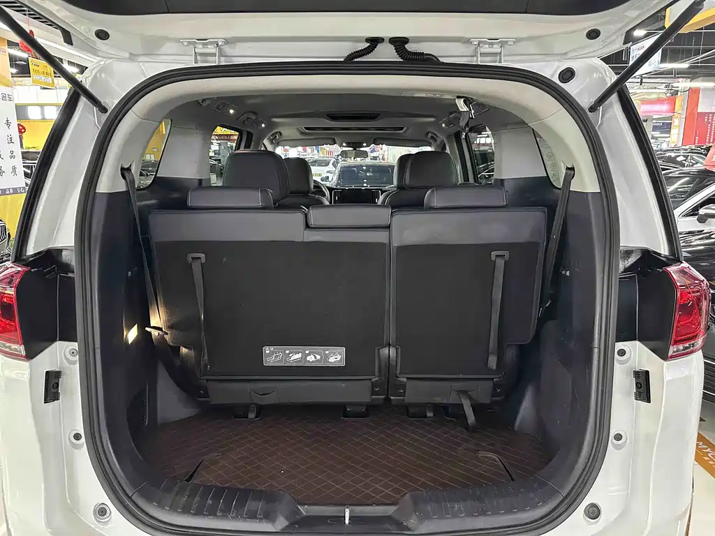 GAC Motor Trumpchi M8 2023 — фото 14