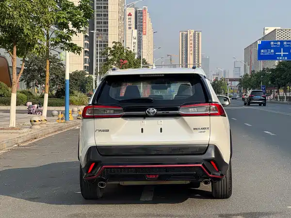 Toyota Wildlander 2020