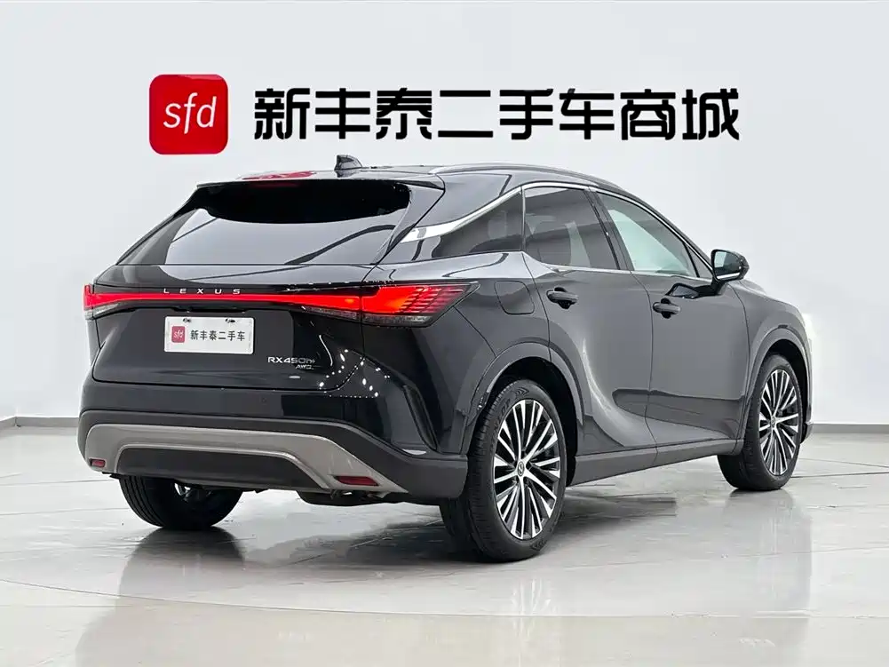Lexus RX New Energy 2023 — фото 6