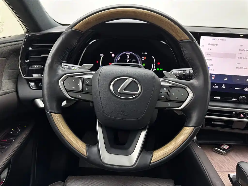 Lexus RX New Energy 2023 — фото 10