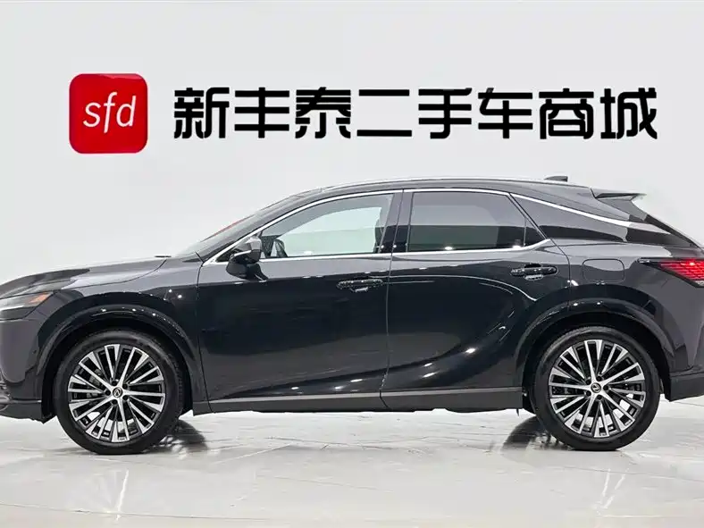 Lexus RX New Energy 2023 — фото 4