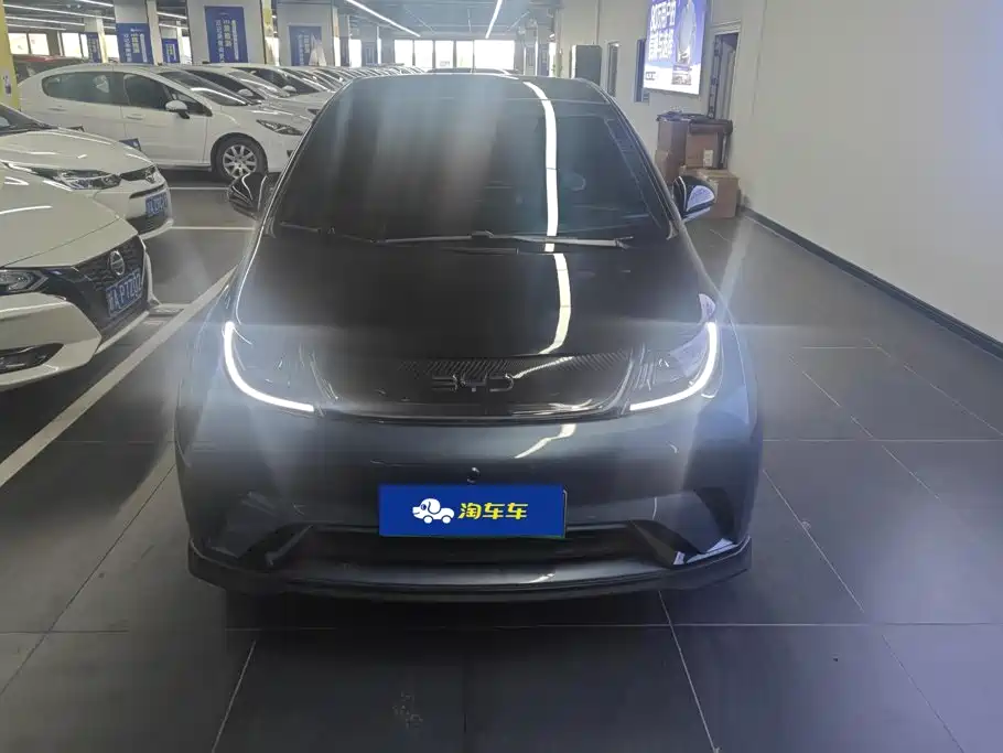 BYD Dolphin 2024
