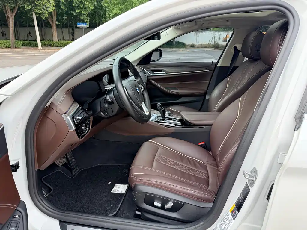 BMW 5 Series New Energy 2020